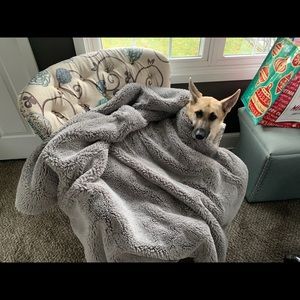 Meet your Posher, Thomas